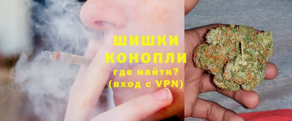 крисы Белокуриха