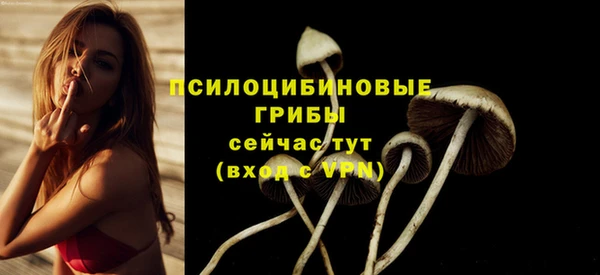 ALPHA-PVP Богородск