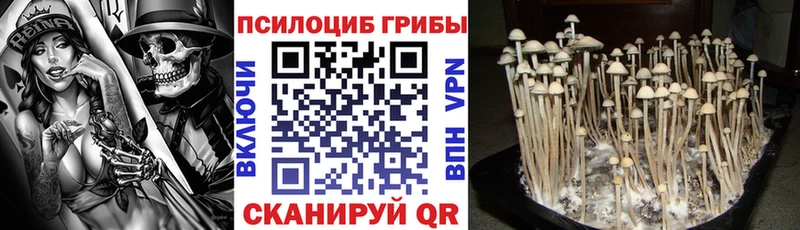 Купить где  Балей  Галлюциногенные грибы мухоморы 
